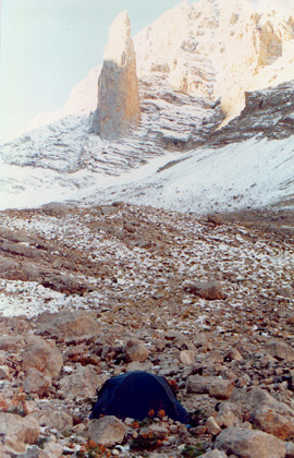 resim3.jpg (89620 bytes)