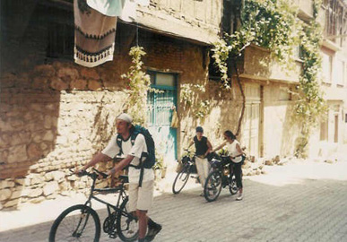 iznik3.jpg (65333 bytes)