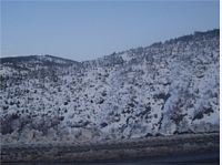 Yoldan Goruntuler