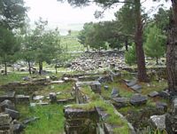 Priene
